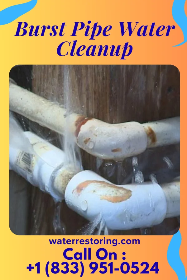 Burst Pipe Water Cleanup in Claremont, MN
