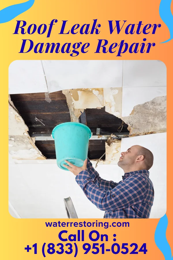 Roof Leak Water Damage Repair in Claremont, MN